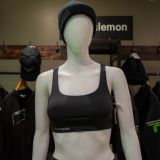 Lululemon Energy Bra- Trooper